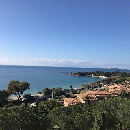 Superbe Appartement T2 Vue Magnifique Sanguinaires A 50M De La Plage 아작시오 외부 사진